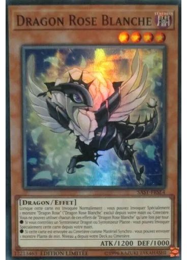 Dragon Rose Blanche