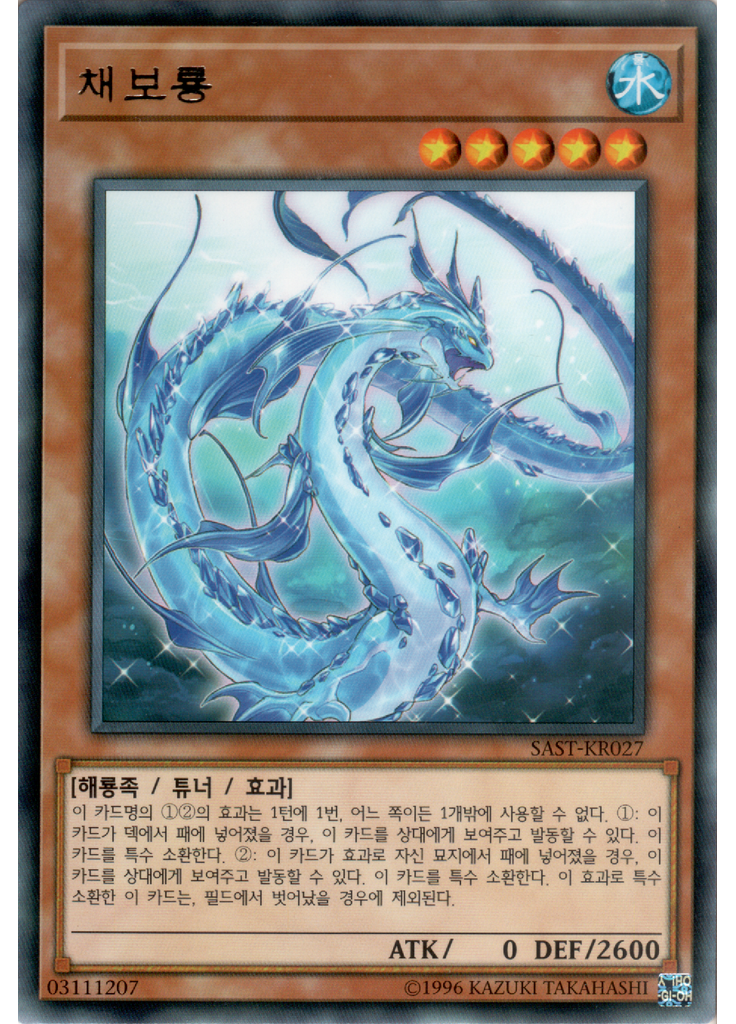 채보룡