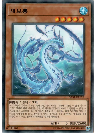 채보룡