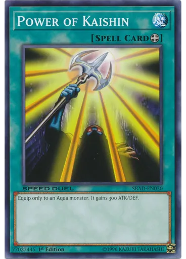 Power of Kaishin