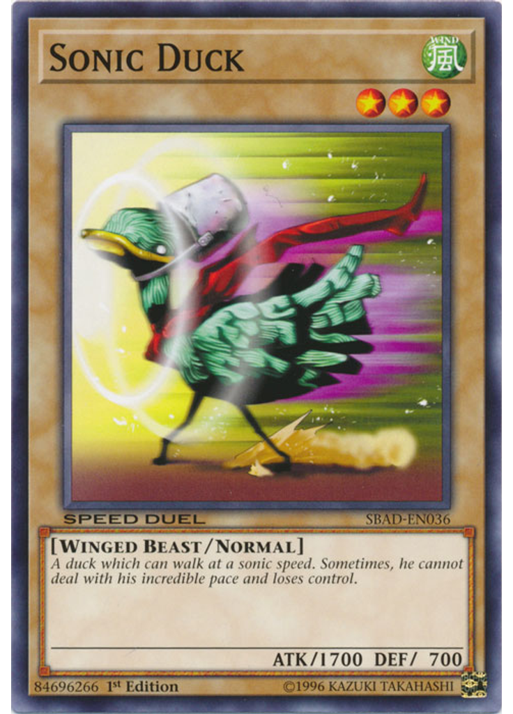 Sonic Duck