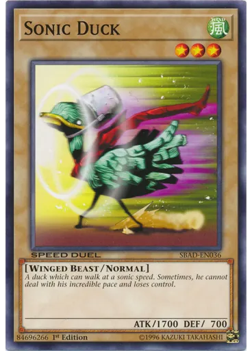 Sonic Duck