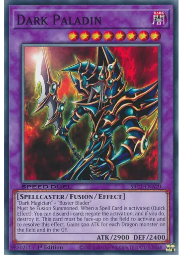 Dark Paladin