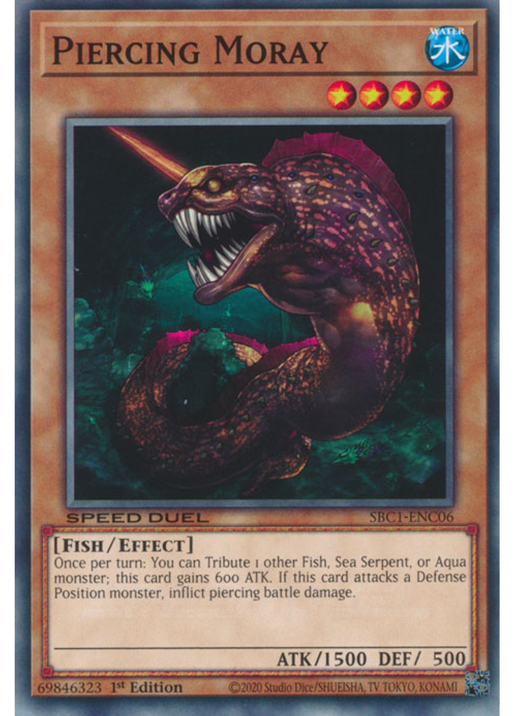 Piercing Moray