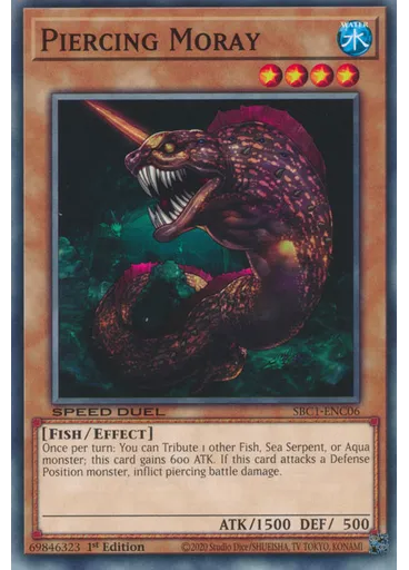 Piercing Moray