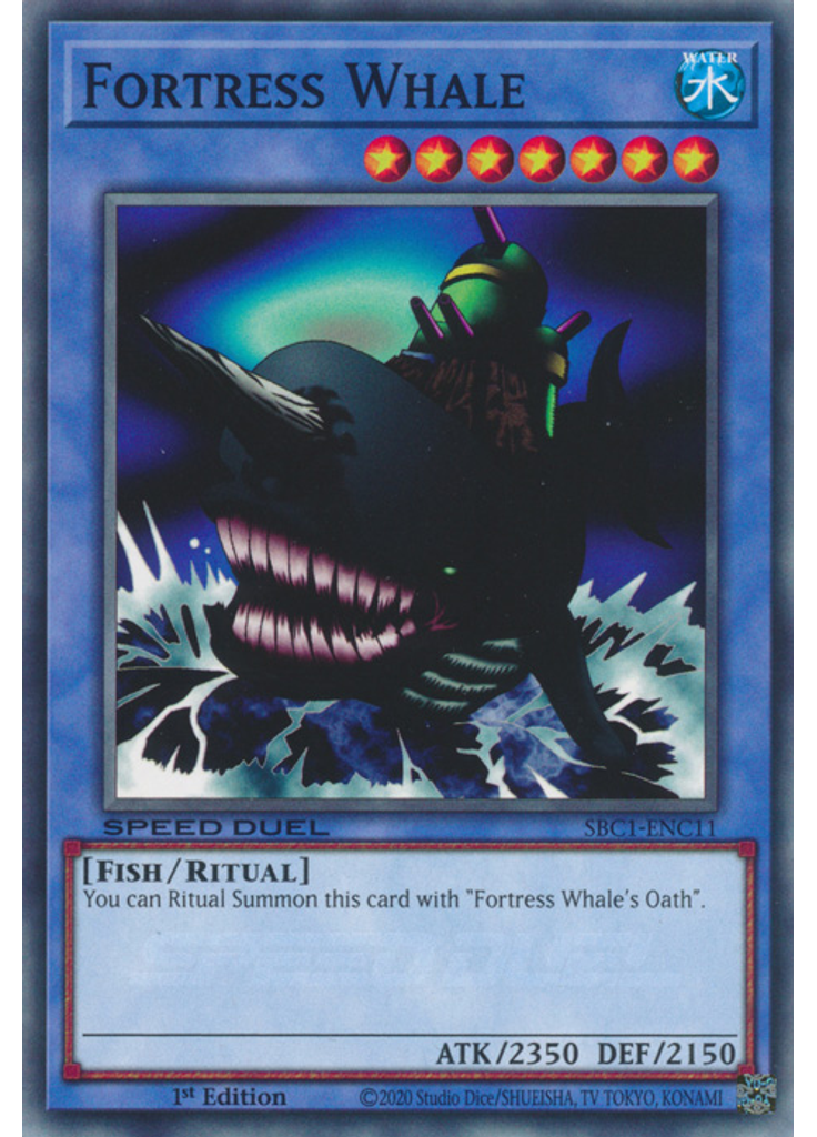 Fortress Whale