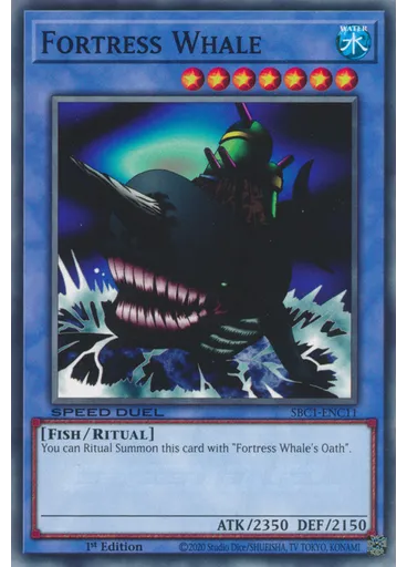 Fortress Whale