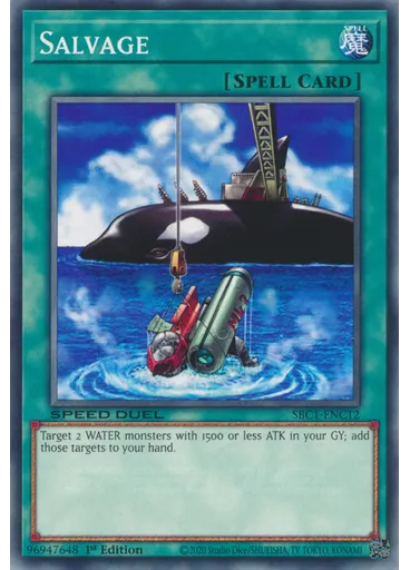 Salvage