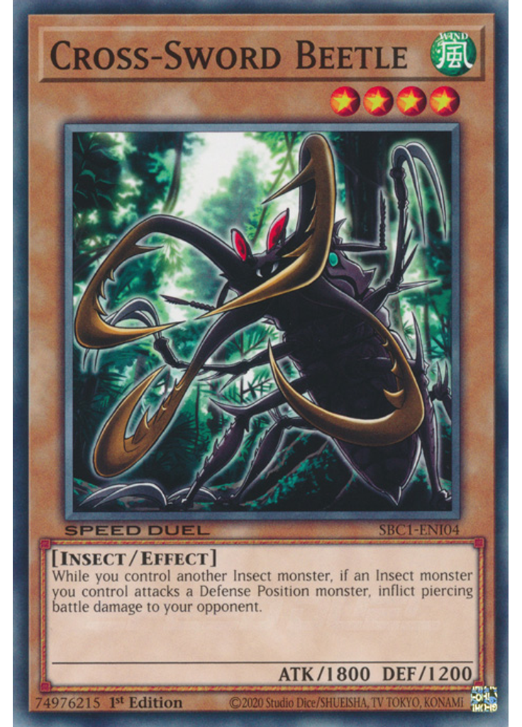 Cross-Sword Beetle