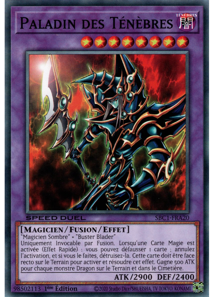 Paladin des Ténèbres