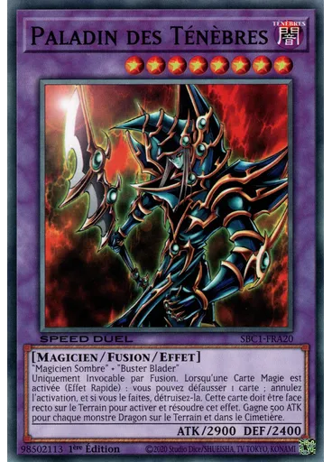 Paladin des Ténèbres