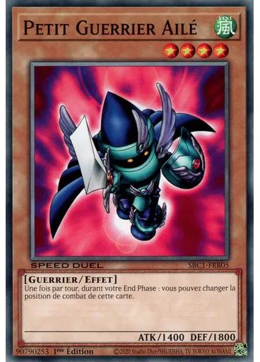 Petit Guerrier Ailé