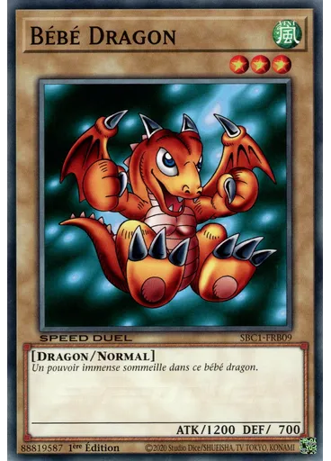 Bébé Dragon