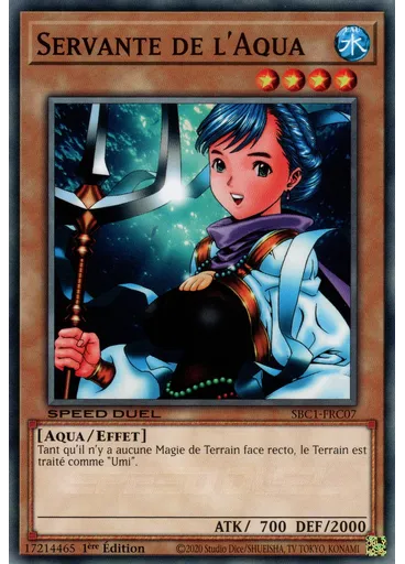 Servante de l'Aqua