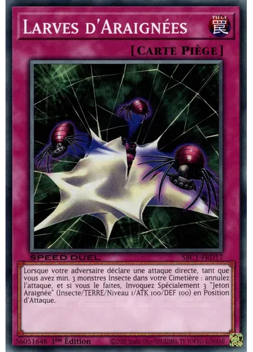 Larves d'Araignées
