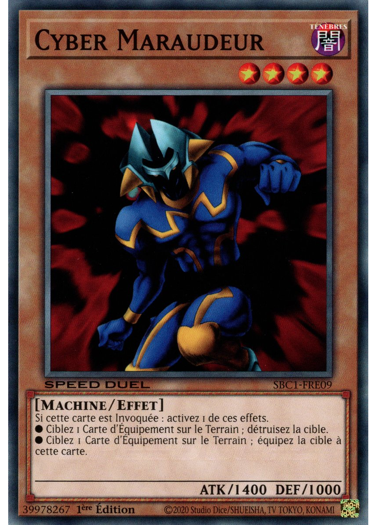 Cyber Maraudeur