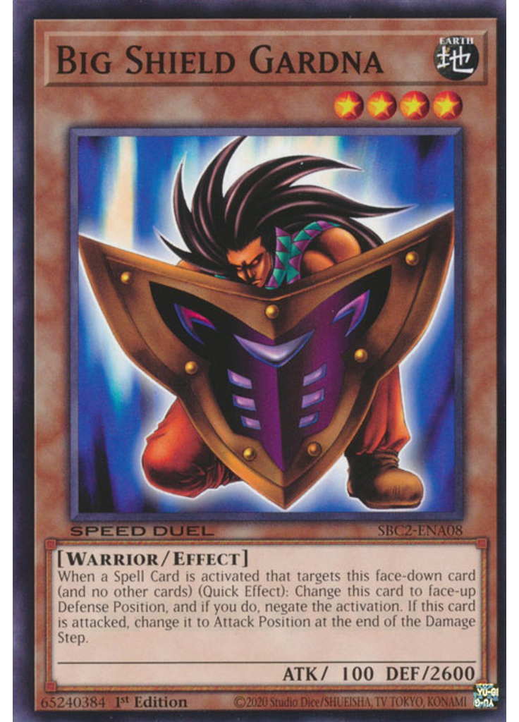 Big Shield Gardna