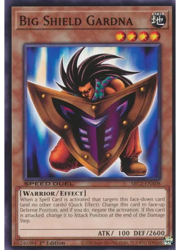 Big Shield Gardna