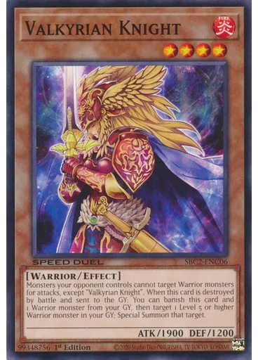Valkyrian Knight