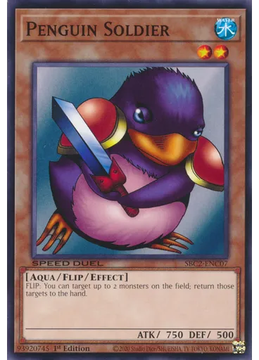 Penguin Soldier