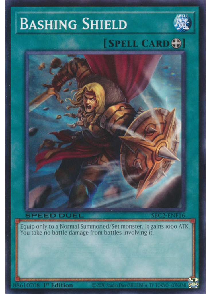 Bashing Shield