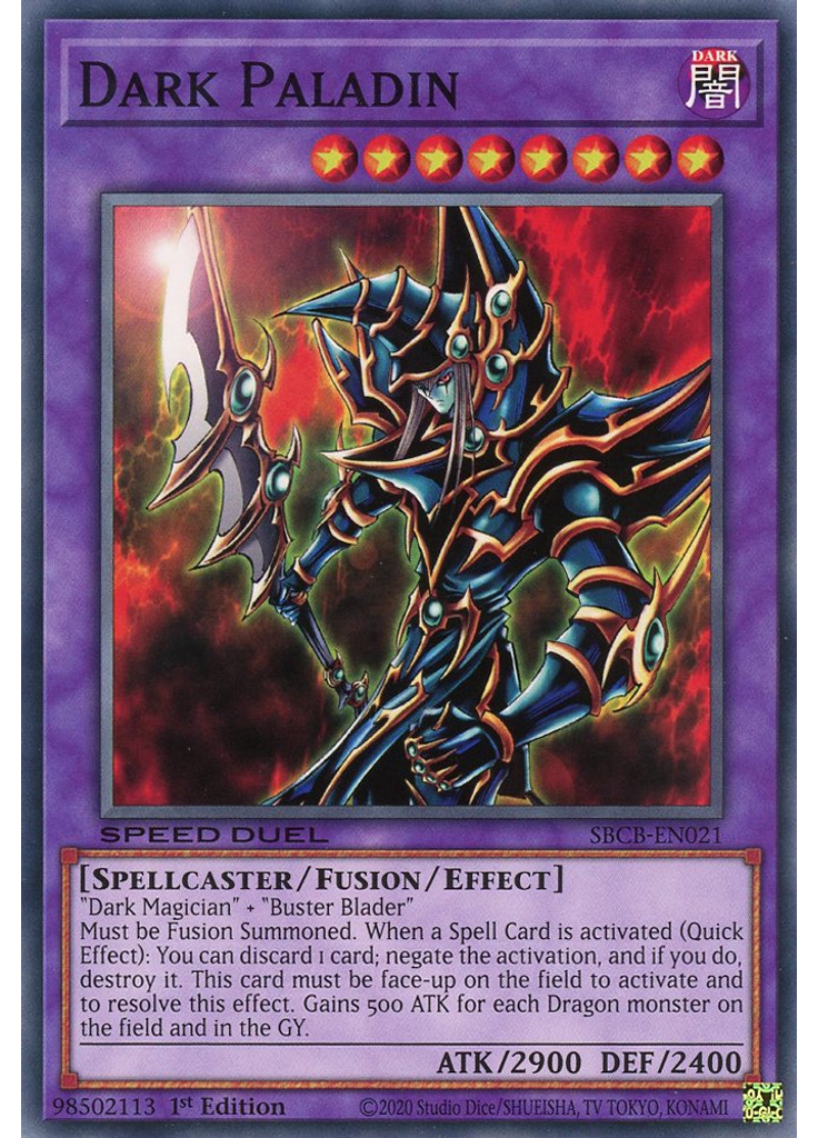 Dark Paladin