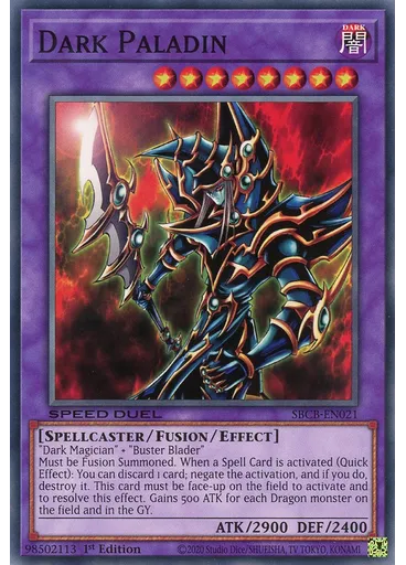 Dark Paladin