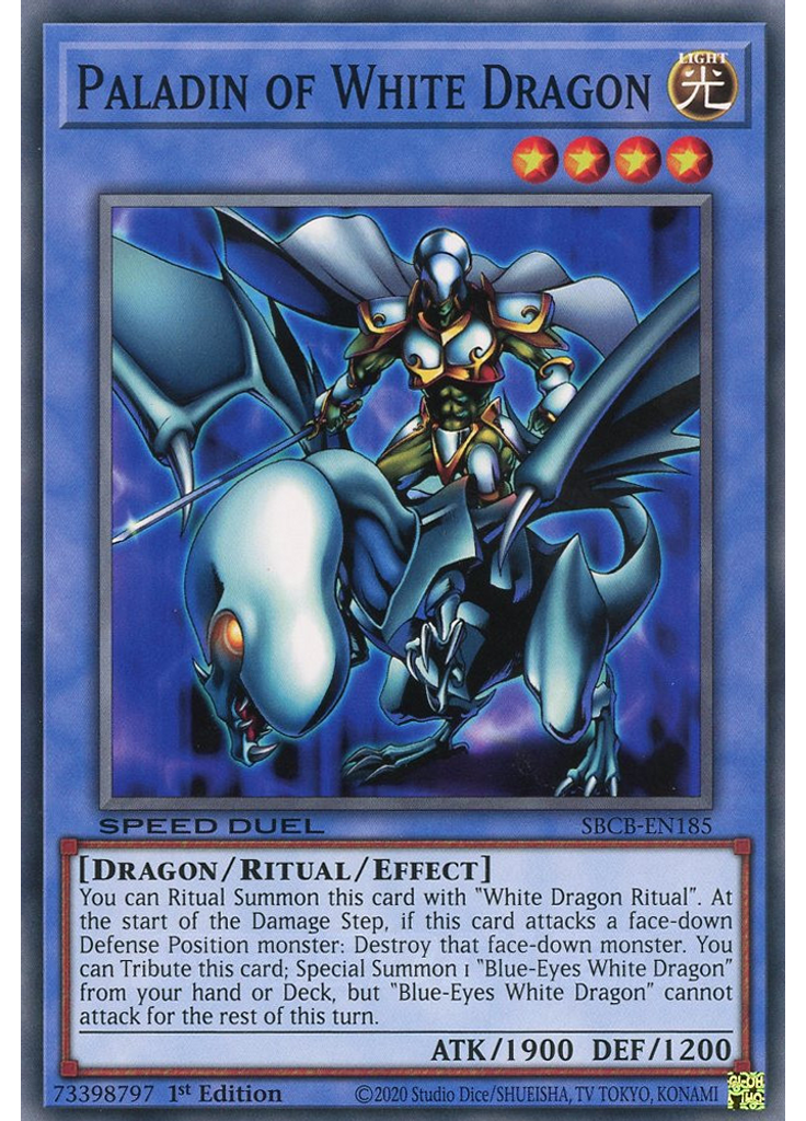 Paladin of White Dragon