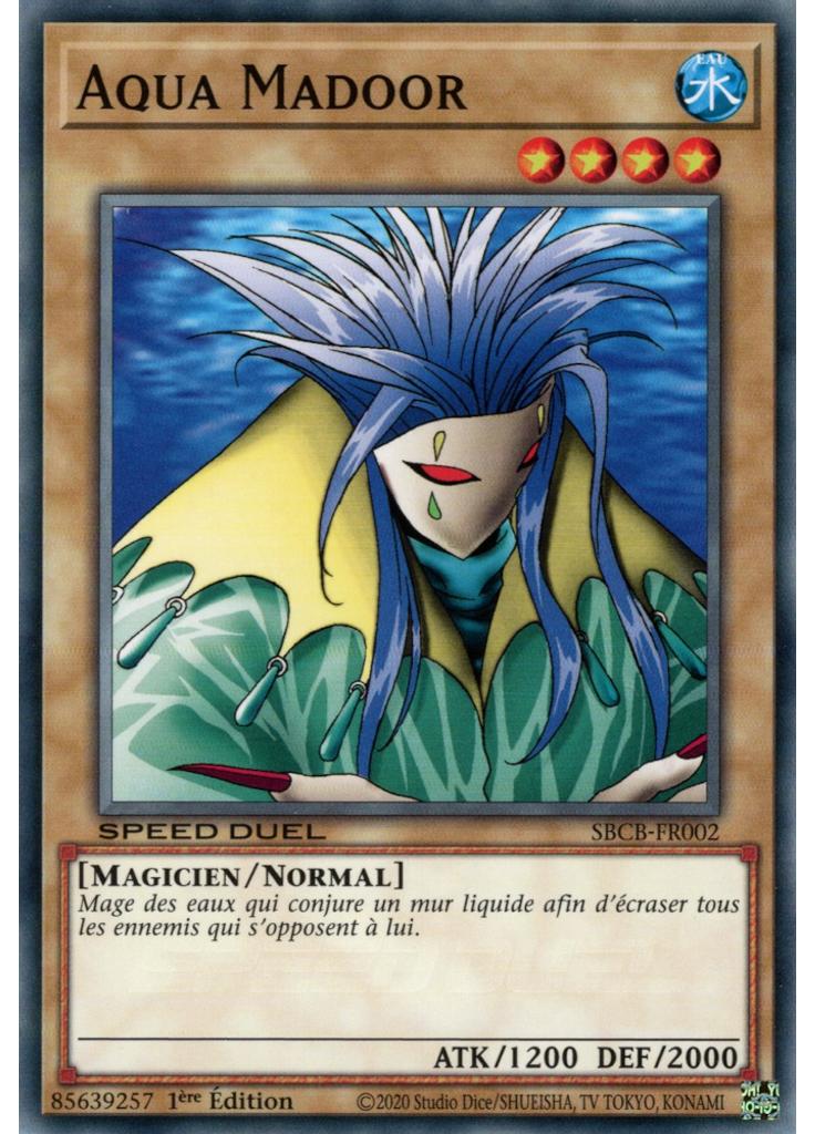 Aqua Madoor