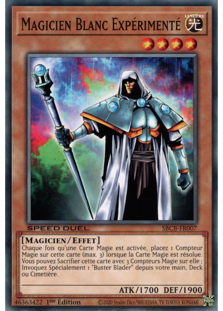 Magicien Blanc Expérimenté
