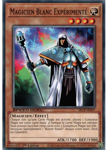 Magicien Blanc Expérimenté