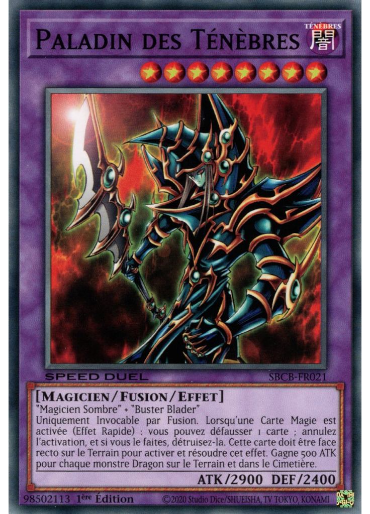 Paladin des Ténèbres