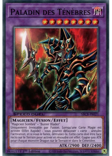 Paladin des Ténèbres