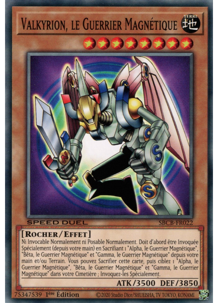Valkyrion, le Guerrier Magnétique