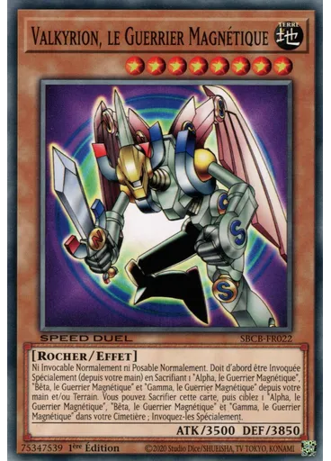 Valkyrion, le Guerrier Magnétique