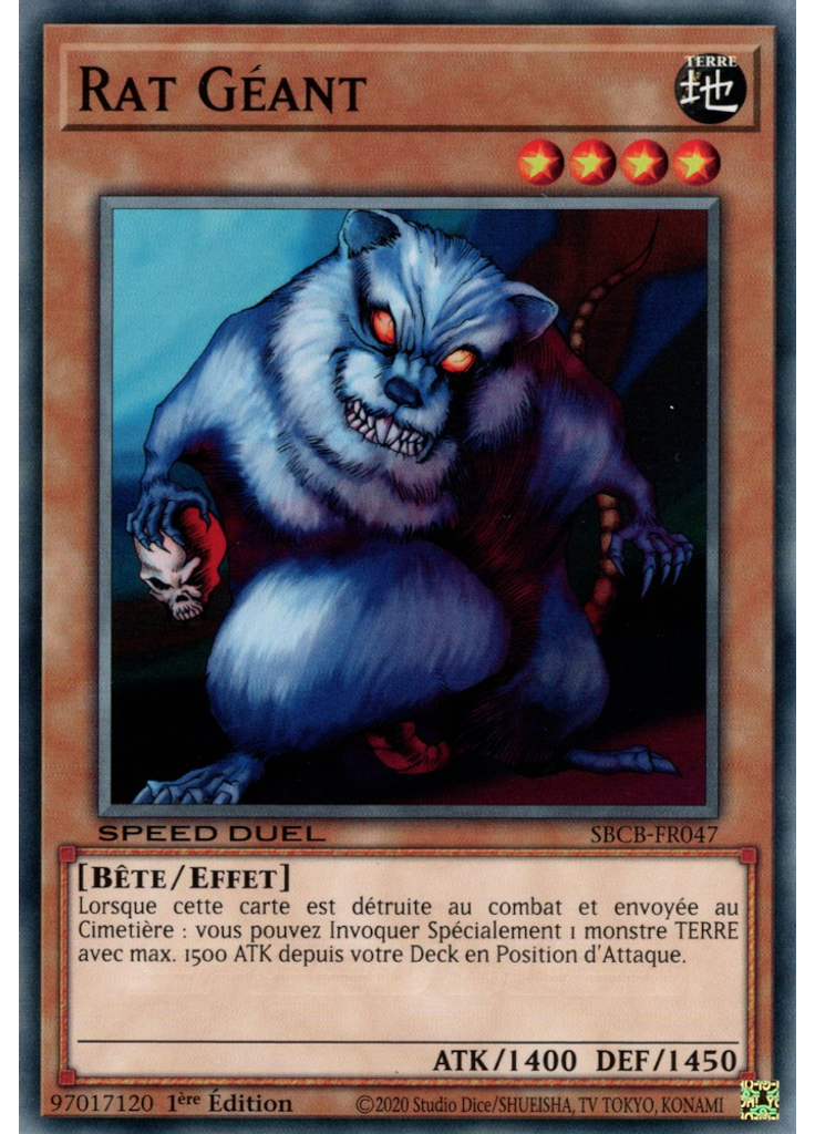 Rat Géant