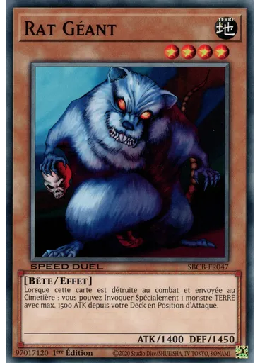 Rat Géant