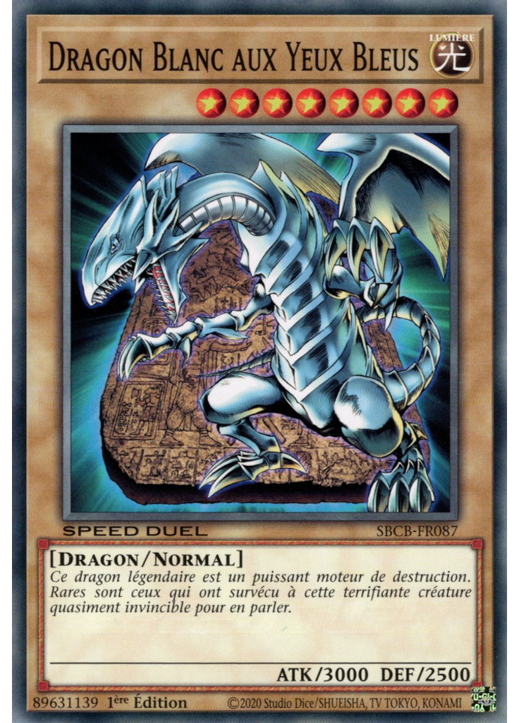 Dragon Blanc aux Yeux Bleus