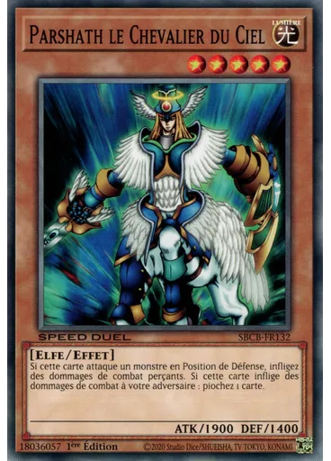 Parshath le Chevalier du Ciel