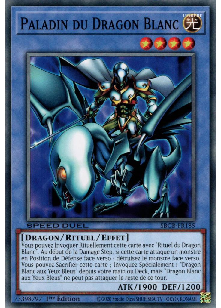 Paladin du Dragon Blanc