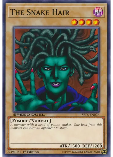 The Snake Hair