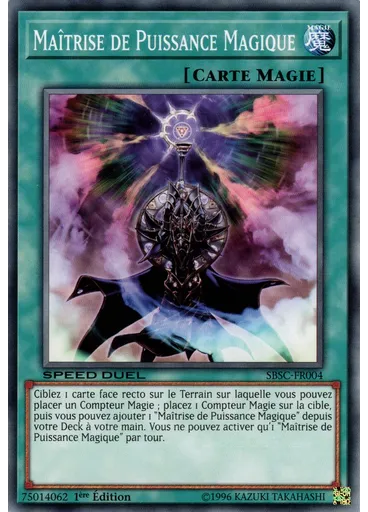Maîtrise de Puissance Magique