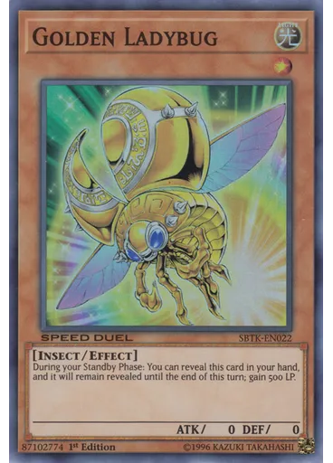 Golden Ladybug