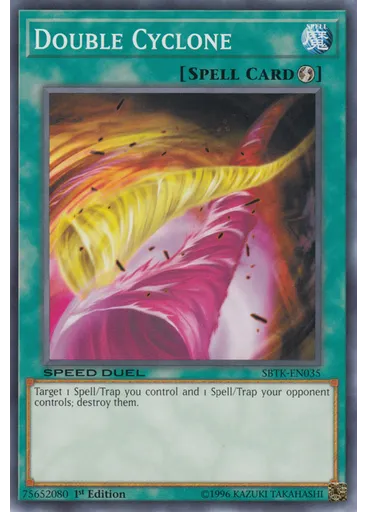 Double Cyclone