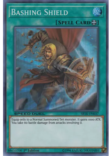 Bashing Shield