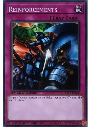 Reinforcements