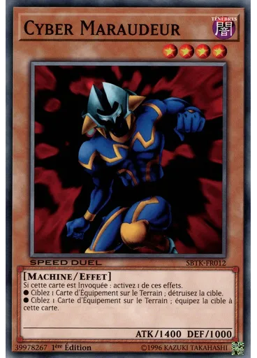 Cyber Maraudeur