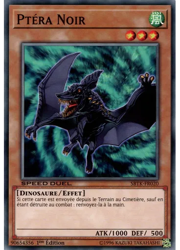 Ptéra Noir