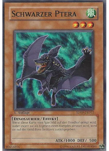 Schwarzer Ptera