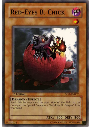 Black Dragon's Chick